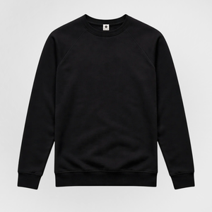 Raglan Sweatshirt